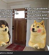 Image result for Doge Meme Female