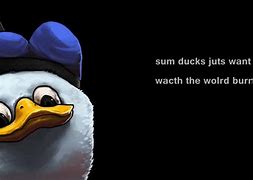 Image result for Meme Wallpapers for iPad