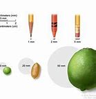 Image result for Tumor Size 4 mm