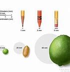 Image result for Tumor Size Chart in mm