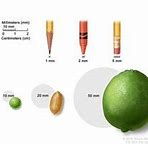 Image result for How Big Is 12Mm Tumor