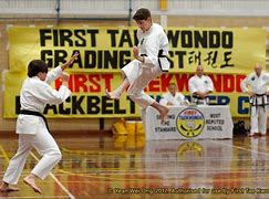 Image result for Traditional Taekwondo