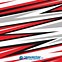 Image result for Racing Stripes Vector