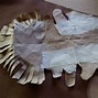 Image result for 3200 Yr Ago Iron Tools