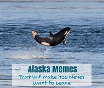 Image result for Funny Alaskan Quotes