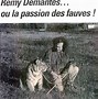 Image result for demantes
