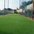 Image result for Landscape Desihn with Cricket Practise Pitch