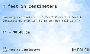 Image result for 1 Foot in Cm