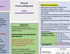 Image result for Acute Renal Failure Concept Map Nursing
