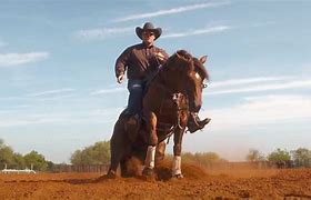 Image result for Taylor Sheridan the Last Cowboy