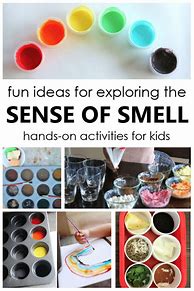 Image result for Sense of Smell Activities