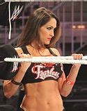Image result for WWE Nikki Bella Wrestler
