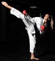 Image result for Female Martial Artists Art
