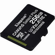 Image result for Kingston Canvas Select Plus 256GB