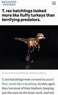 Image result for Feathered T-Rex Meme