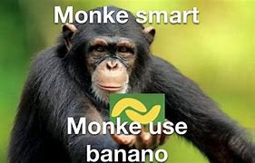 Image result for Smart Monke Meme