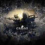 Image result for Cool CS:GO Pictures
