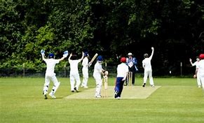 Image result for Cricket League for Kids