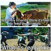 Image result for Funny Farm Animal Memes