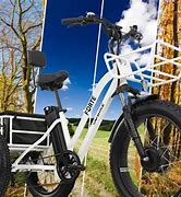 Image result for 3 Wheel Electric Bike
