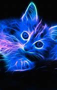 Image result for Cool Neon Cats