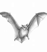 Image result for Art Drawing Pencil Bats