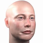 Image result for Elon Musk 2D Model