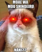 Image result for Nani Cat Meme