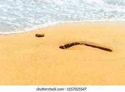 Image result for Pebble Shore Line