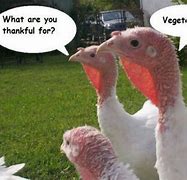 Image result for turkey memes