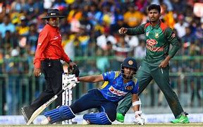 Image result for Sri Lanka Cricket Bat