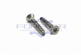 Image result for Stainless Steel Torx Screws