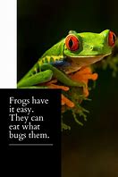 Image result for Frog Quotes