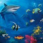 Image result for Underwater Laptop Background