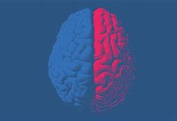 Image result for Brain Red Blue
