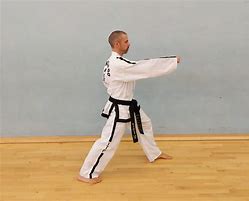 Image result for Martial Arts Stances