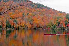 Image result for Fall in Maine