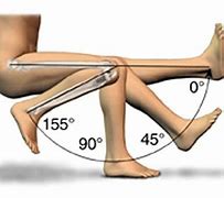 Image result for Human 90 Degrees