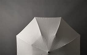 Image result for White Umbrella vs Silver