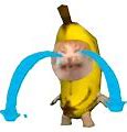 Image result for Meme Banana Animal