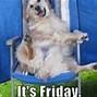 Image result for Funny Friday Memes Cute Puppies