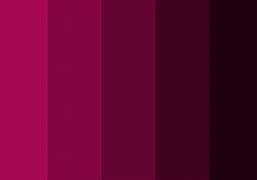 Image result for New Color 2020 Raspberry