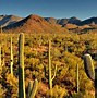 Image result for Tucson Arizona Tourism