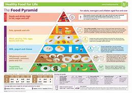 Image result for Daily Food Pyramid