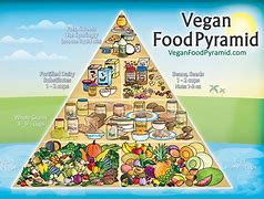 Image result for Vegetarian Food Examples