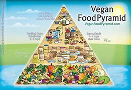 Image result for What Can Vegans Eat