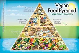 Image result for Vegan Food Pyramid Poster