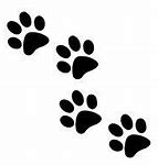 Image result for Cat Paw Print Pattern