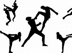 Image result for Most Powerful Martial Arts