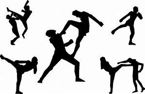 Image result for Types of Martial Art Taught around Louisiana